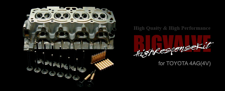 BIGVALVEHigh Response Kit for 4AG