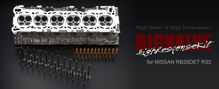 ハイレスポンスキット　RB25DET R33